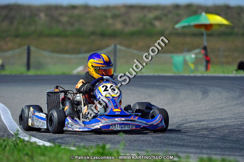 DSC_ (1628).jpg